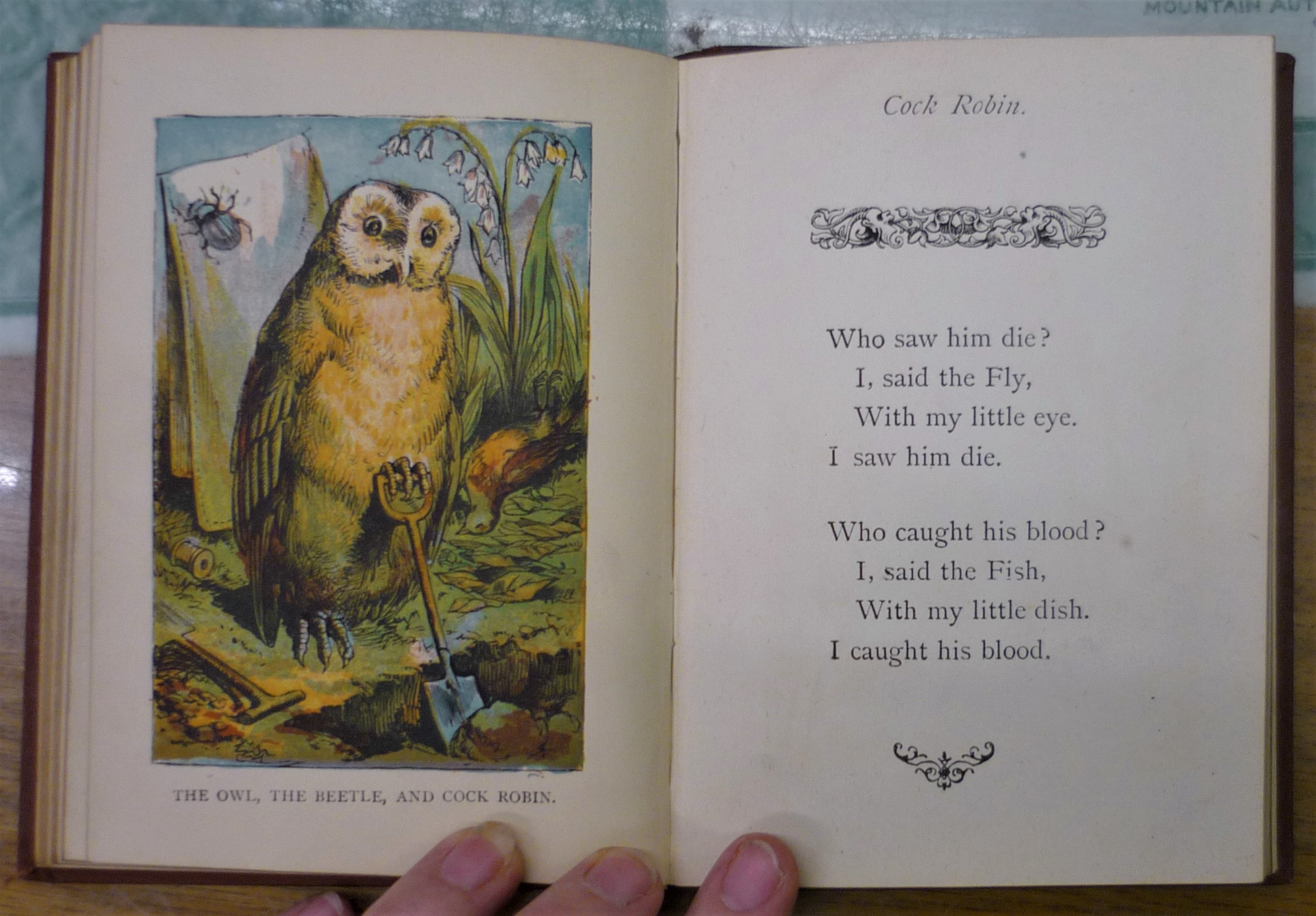 Cock Robin pages