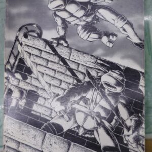 Teenage Mutant Ninja Turtles front cover