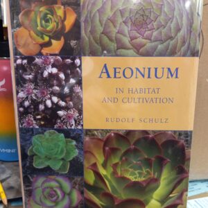 Aeonium in Habitat and Cultivation jacket front