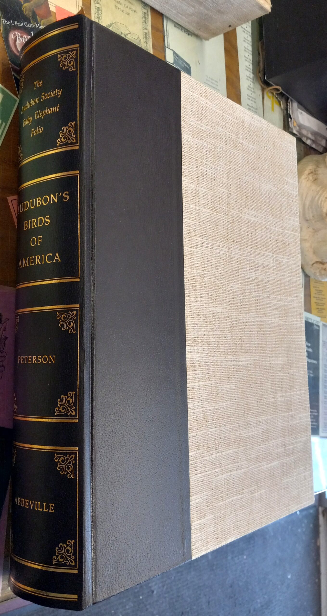 Audubon's Birds of America binding spine and front board