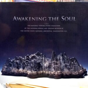 Awakening the Soul front cover