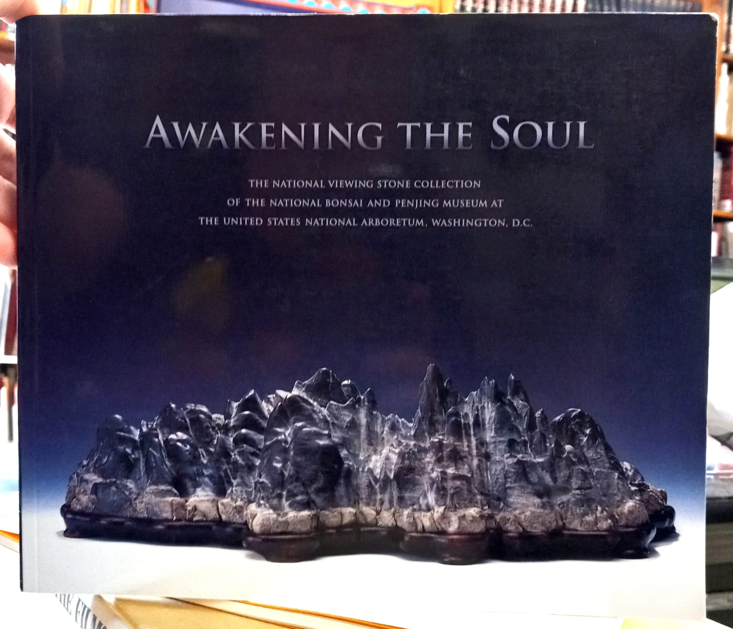Awakening the Soul front cover