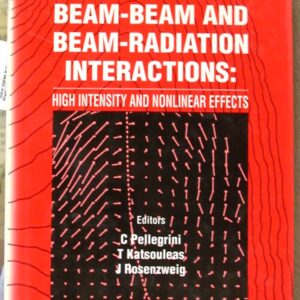 Pellegrini, C.; Katsouleas, T.; Rosenzweig, J.: Workshop on Beam-Beam and Beam-Radiation Interactions: High Intensity and Nonlinear Effects