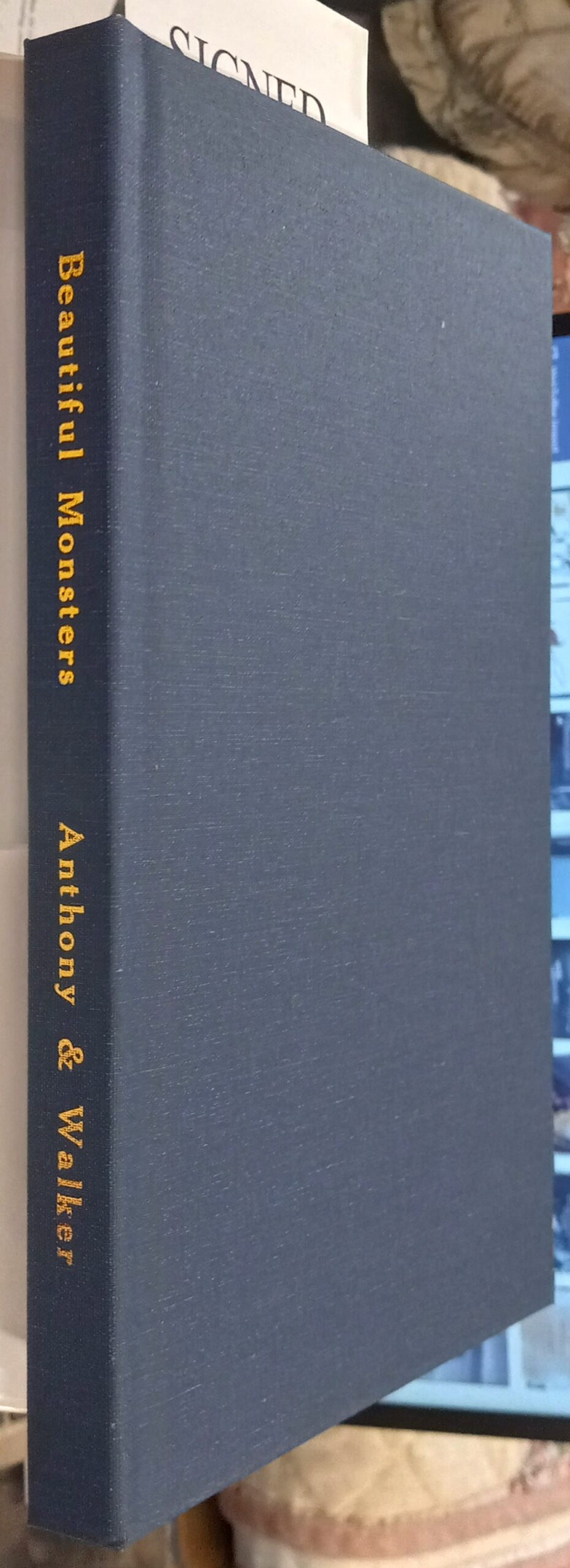 Beautiful Monsters binding spine and front board