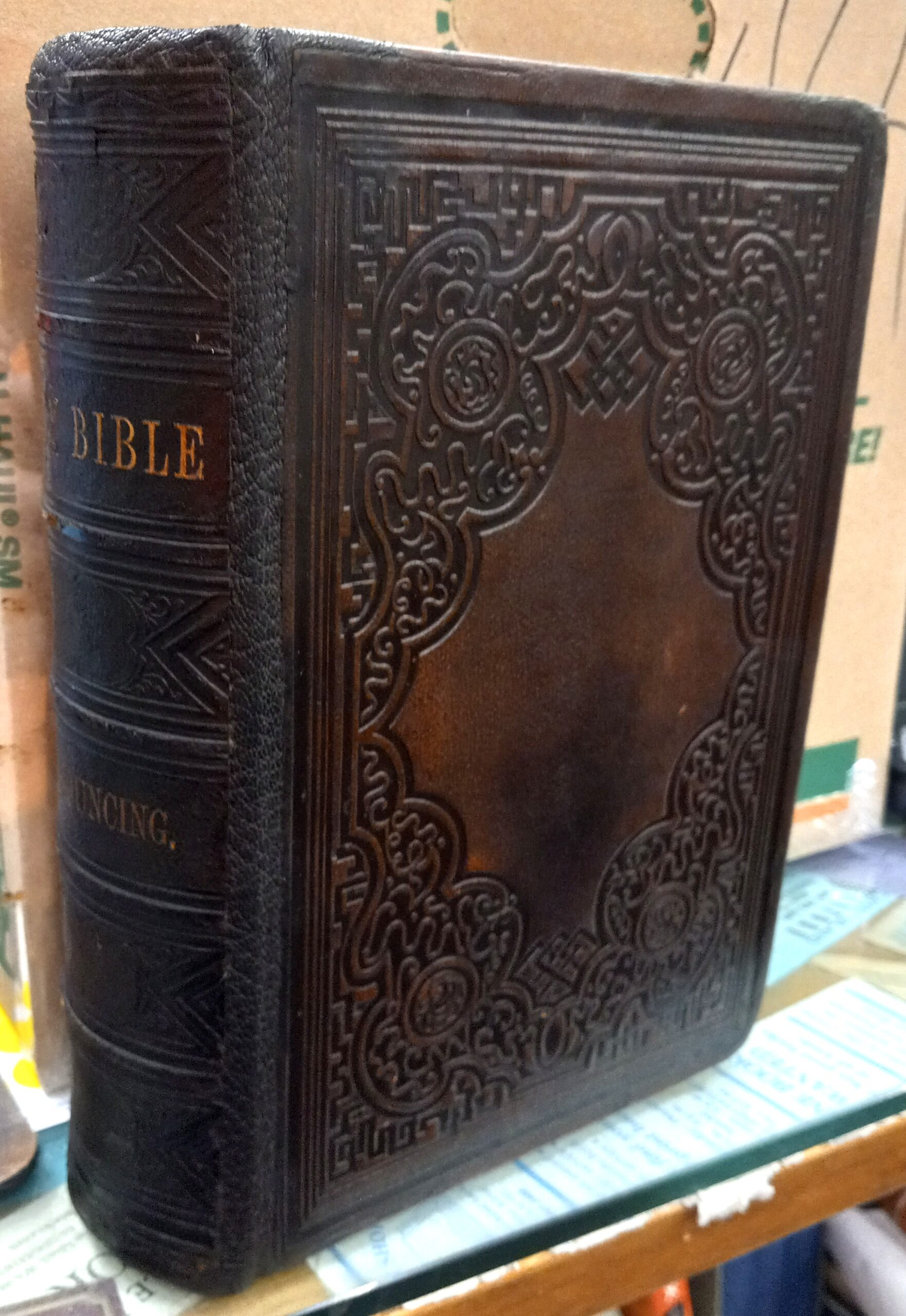 Holy Bible spine and front board