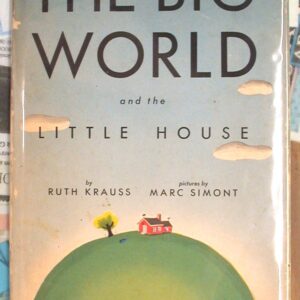 Jacket front for The Big World and the Little House
