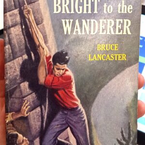 Bright to the Wanderer front cover