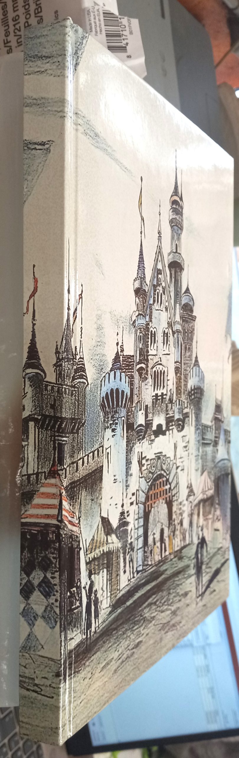 A Brush With Disney binding spine and front board