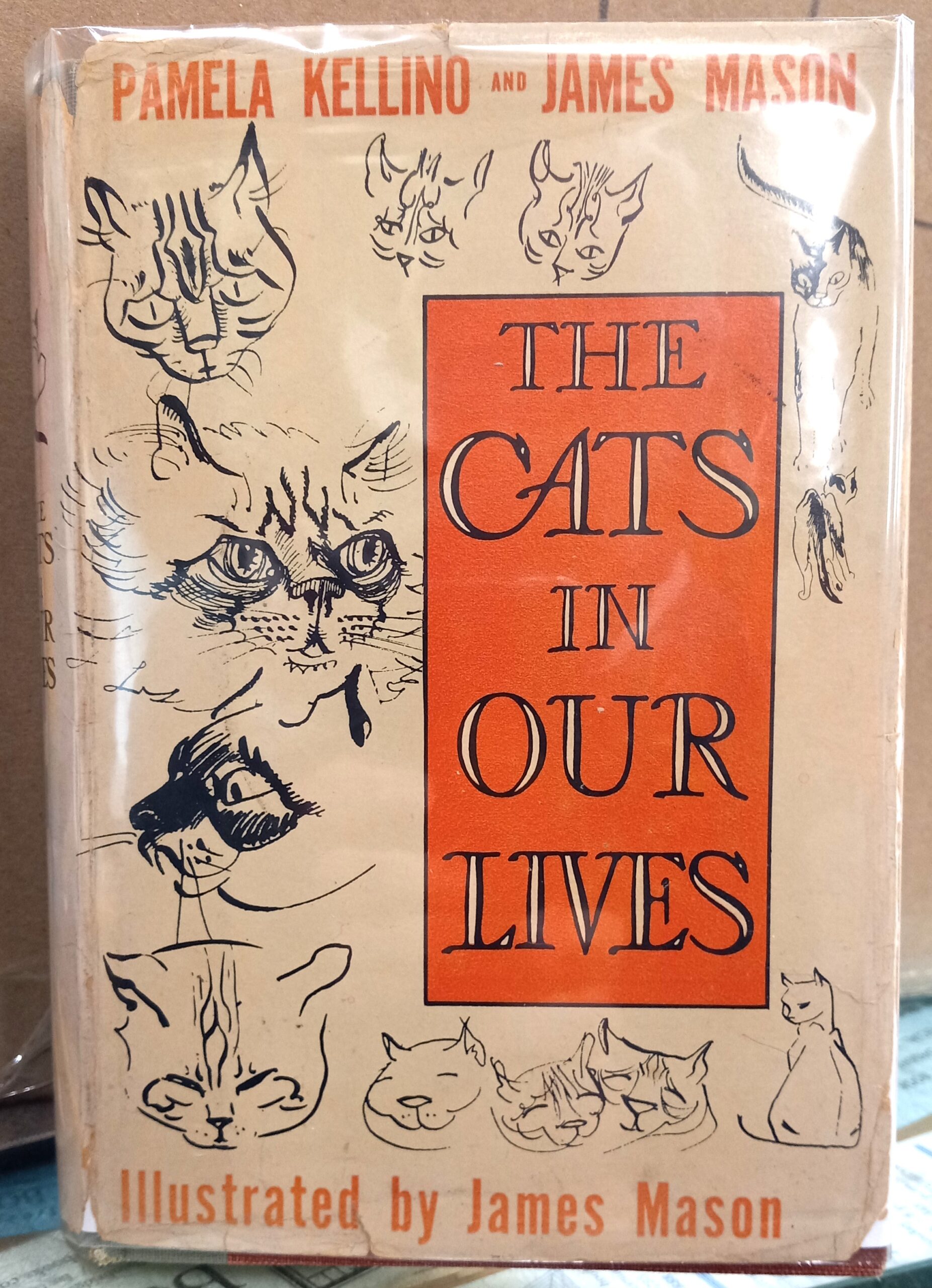The Cats in Our Lives jacket front