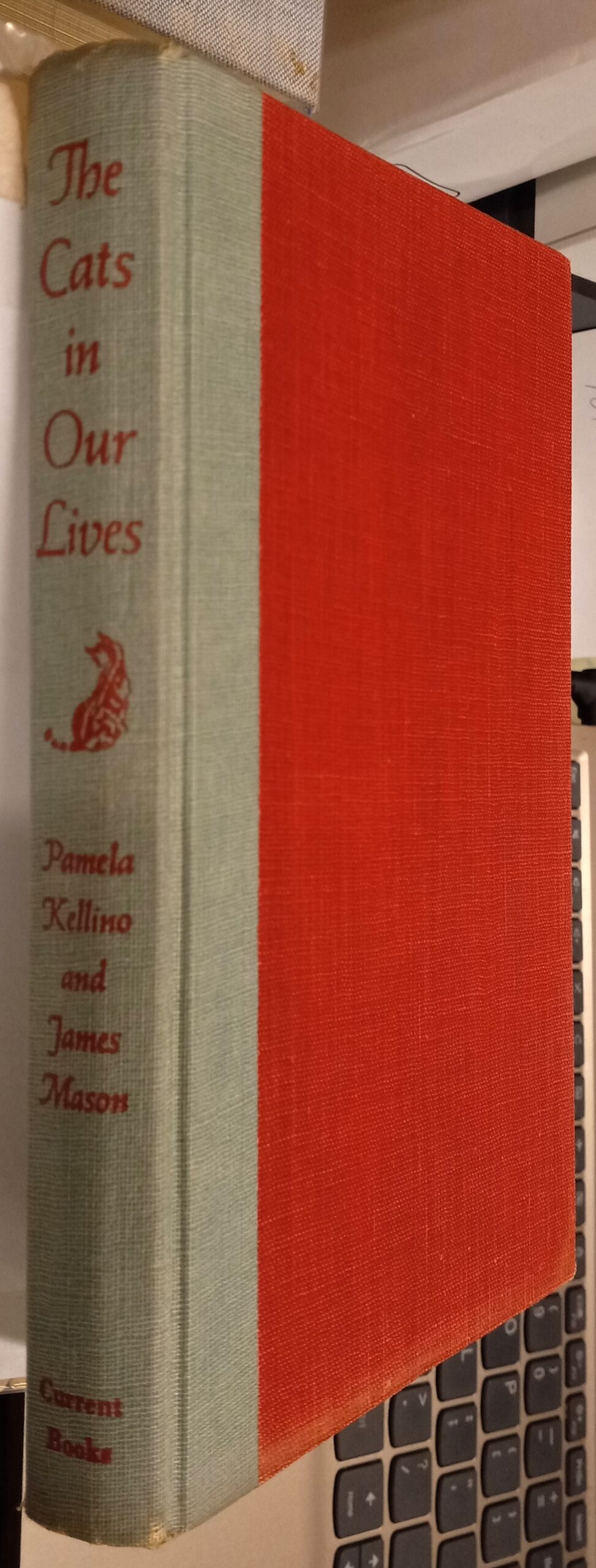 The Cats in Our Lives binding spine and front board