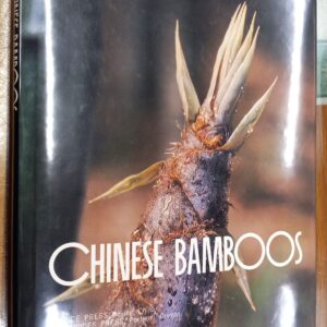 Chinese Bamboos jacket front