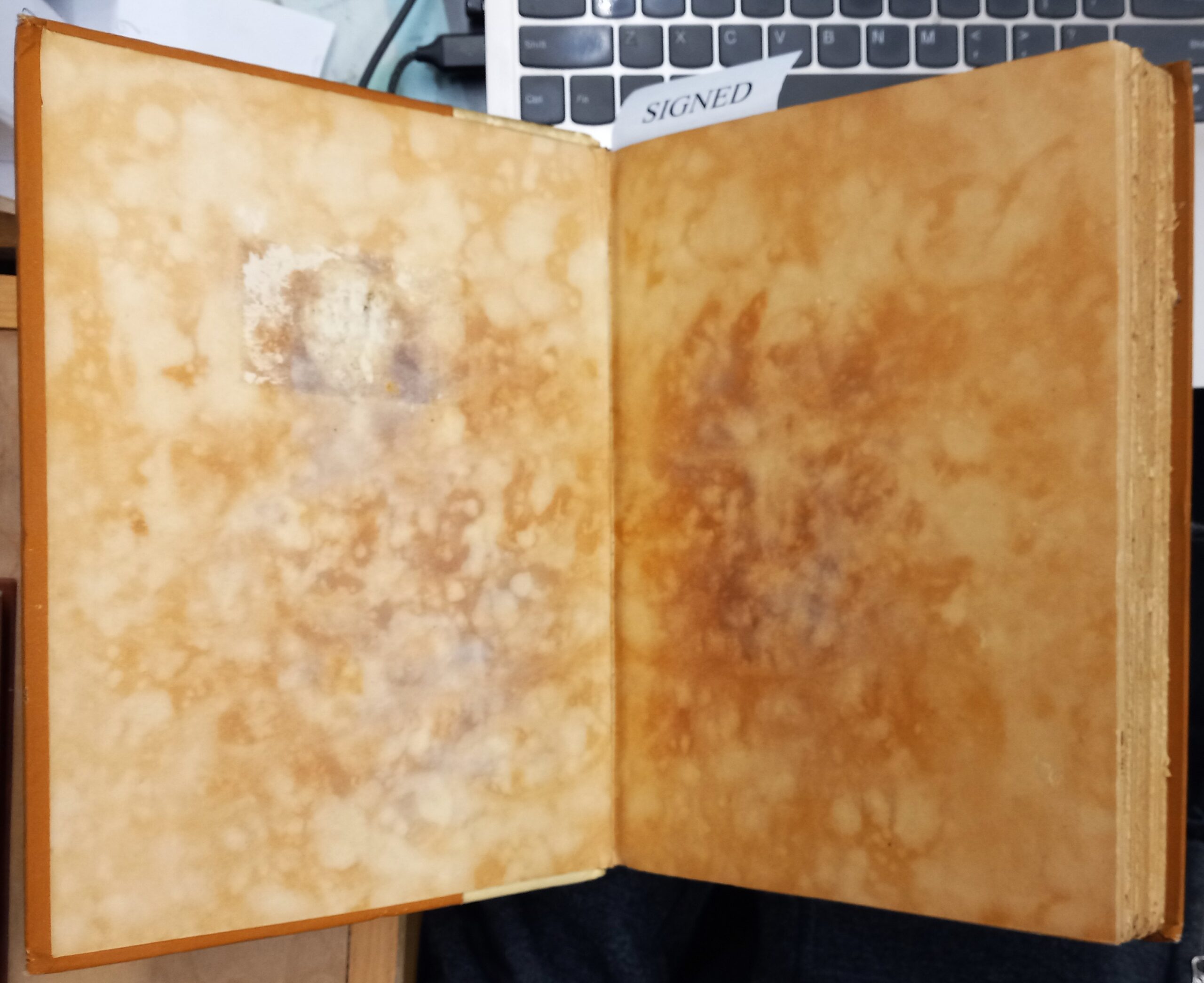 The Chronicles of Rodriguez front endpapers