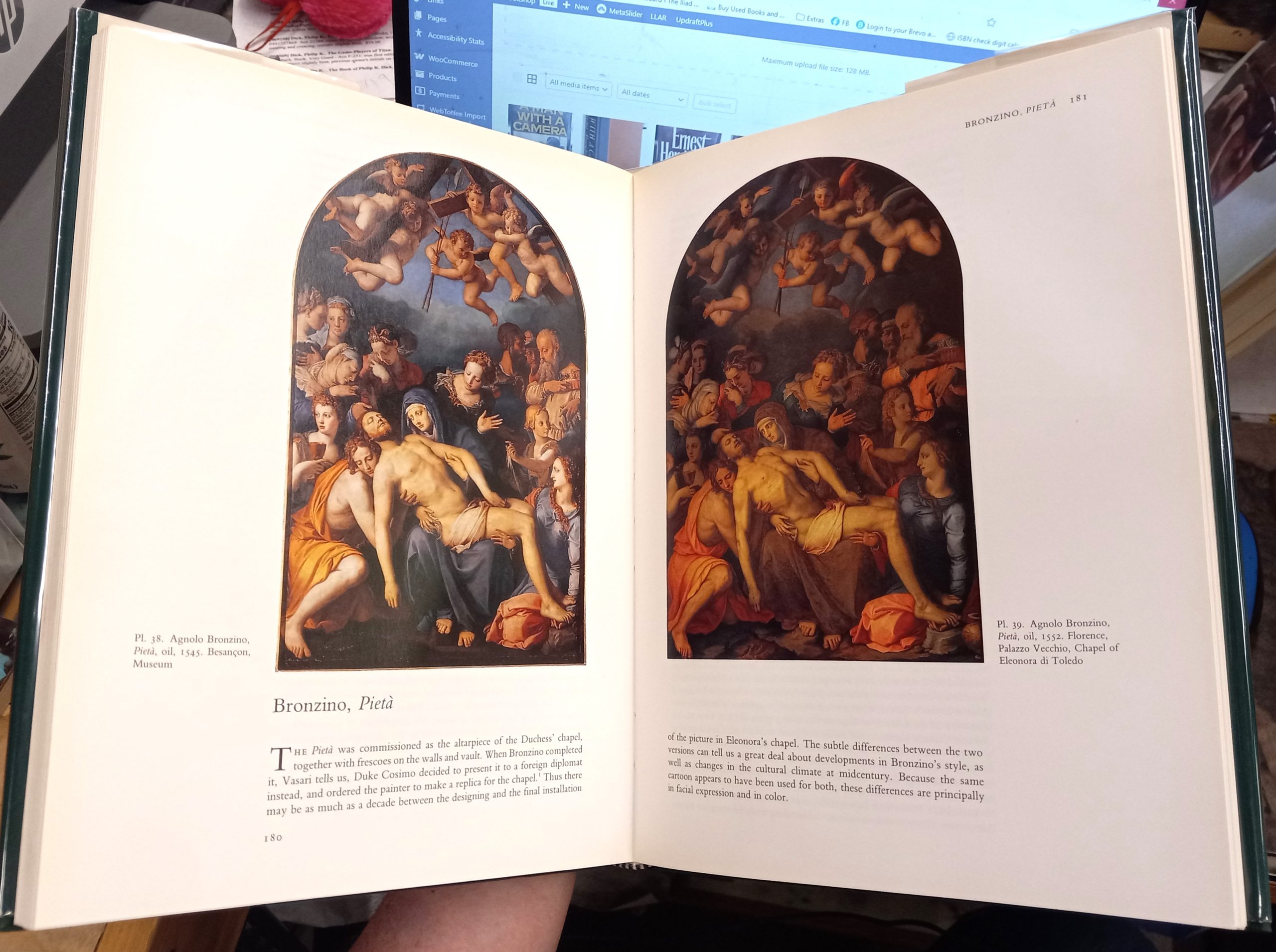 Color and Meaning pages