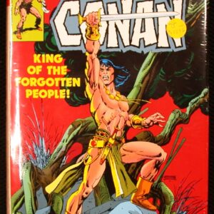 Conan the Barbarian The Original Marvel Years Omnibus Vol. 5 jacket front