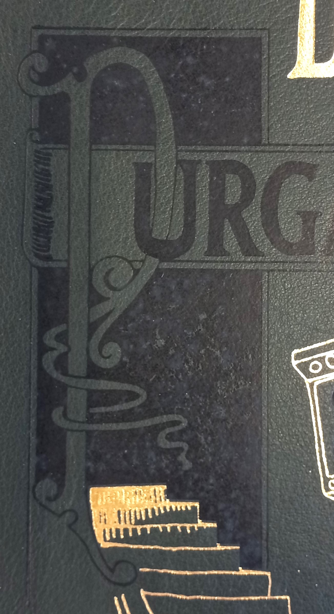 Close-up of front cover of Purgatorio showing slight mildewing