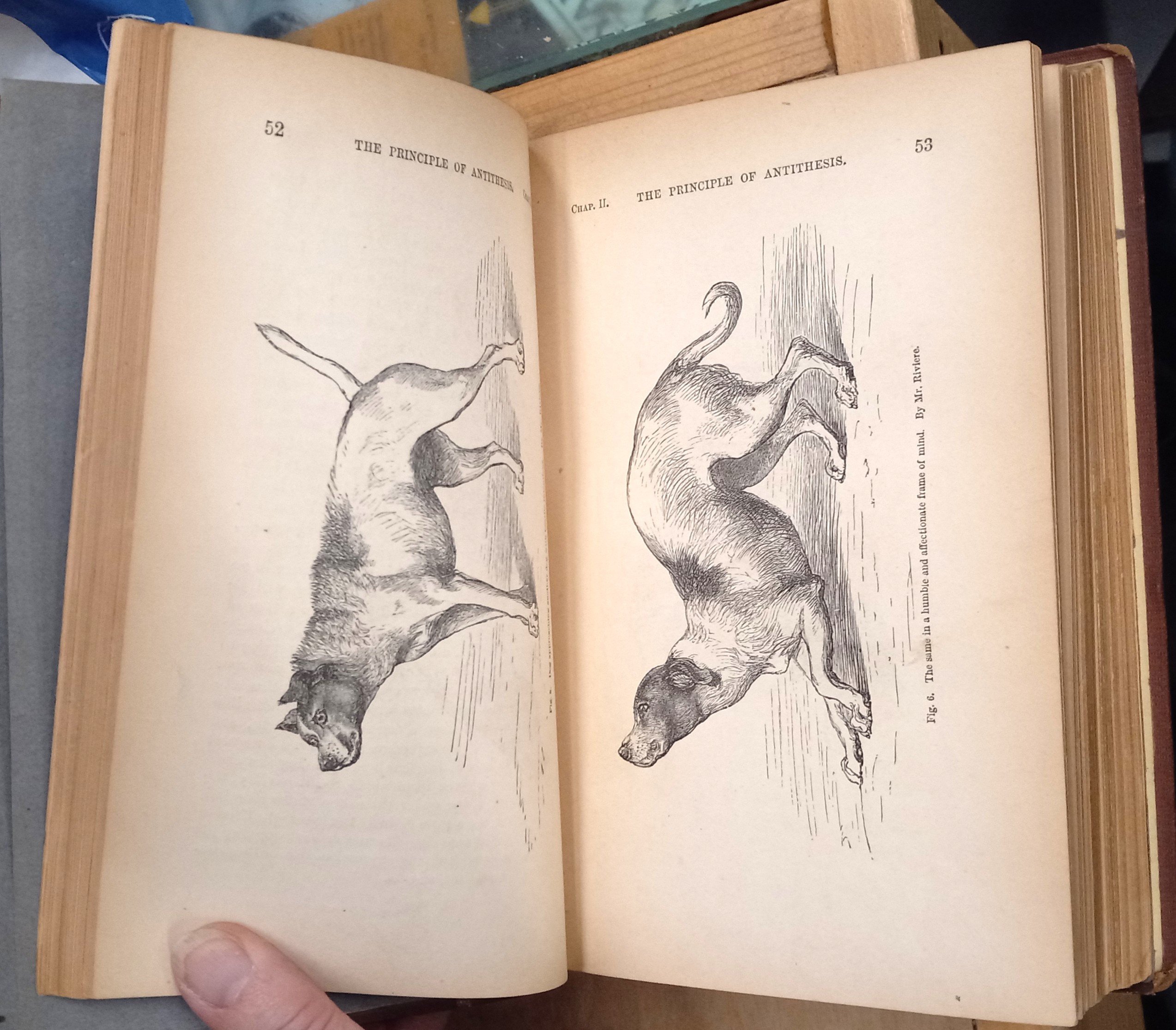 Expression of the Emotions in Man and Animals pages