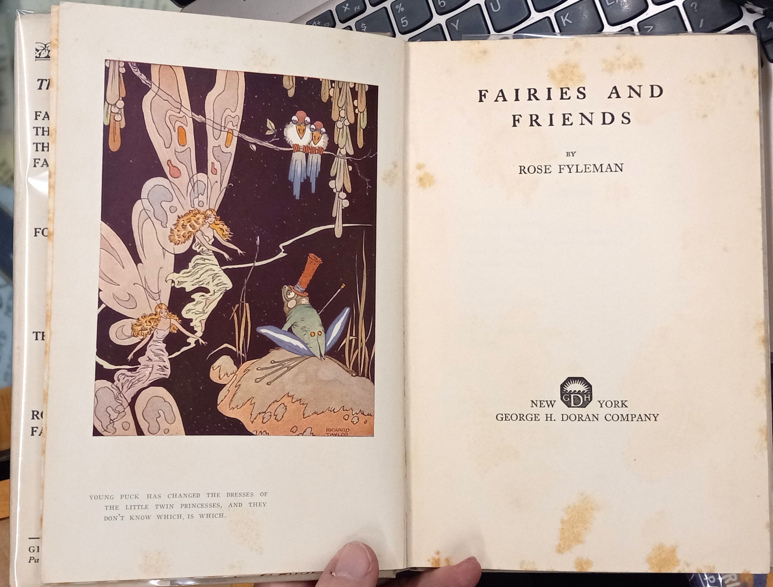 Fairies and Friends color frontispiece and title page