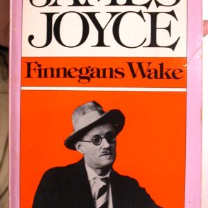 Finnegans Wake front cover