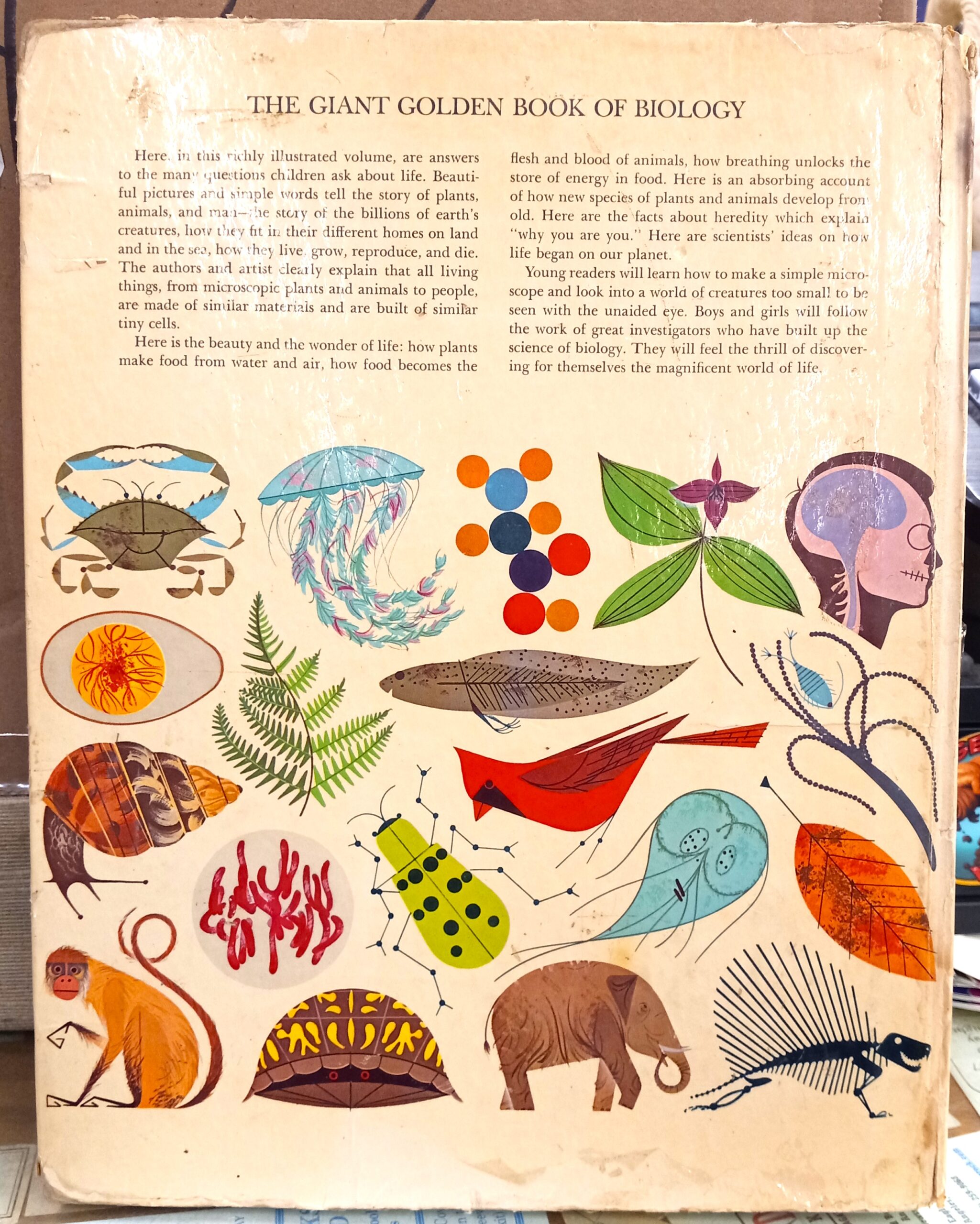 The Giant Golden Book of Biology rear cover