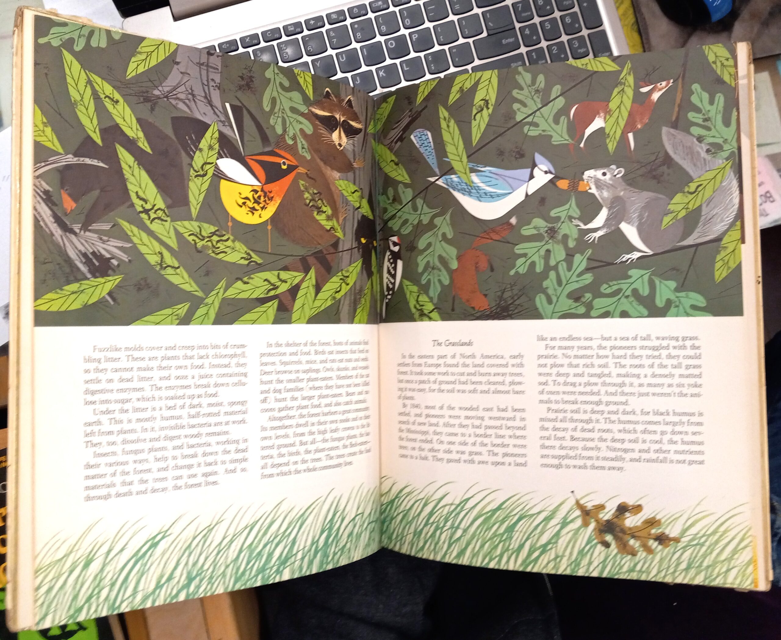 The Giant Golden Book of Biology pages