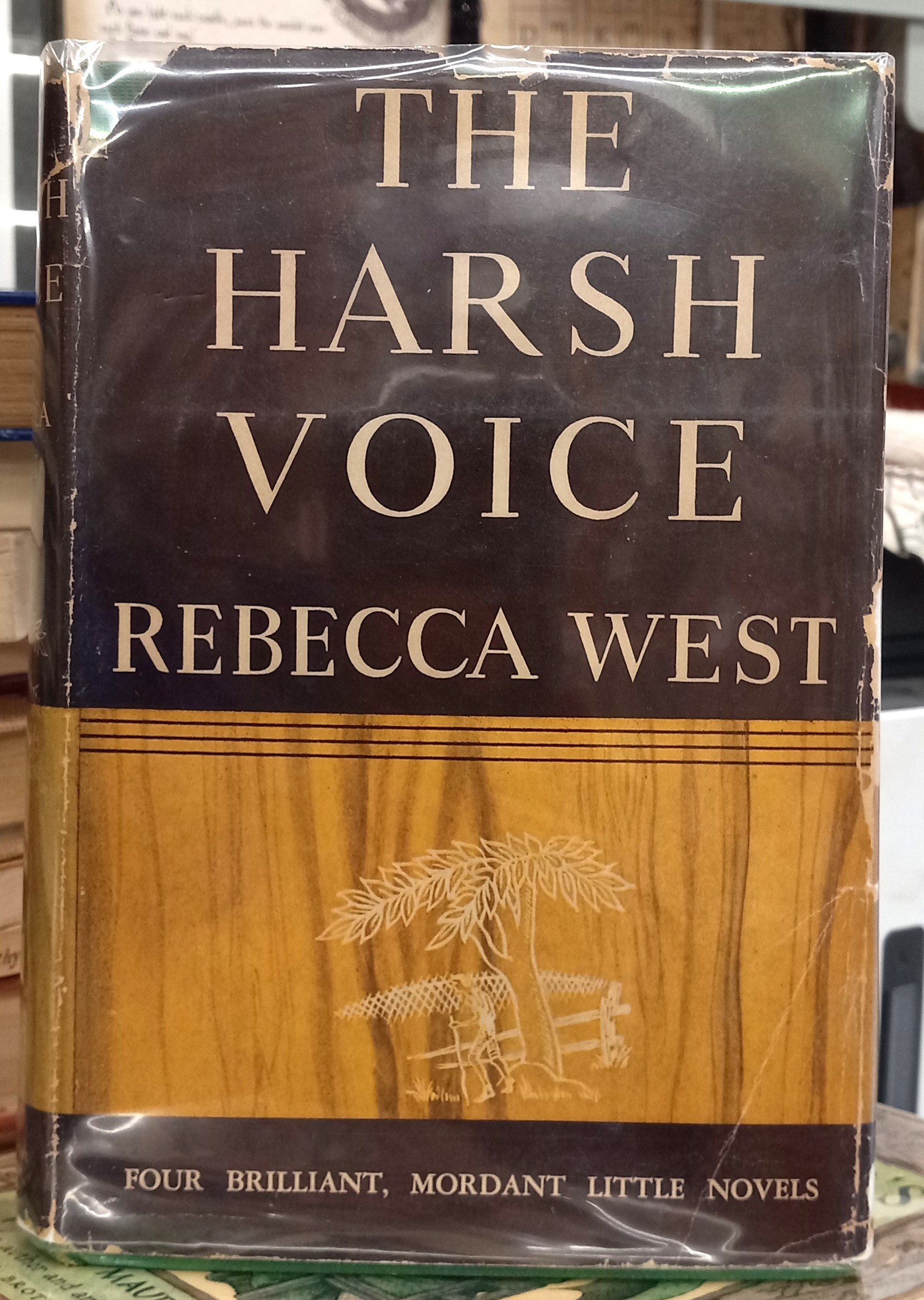 The Harsh Voice jacket front