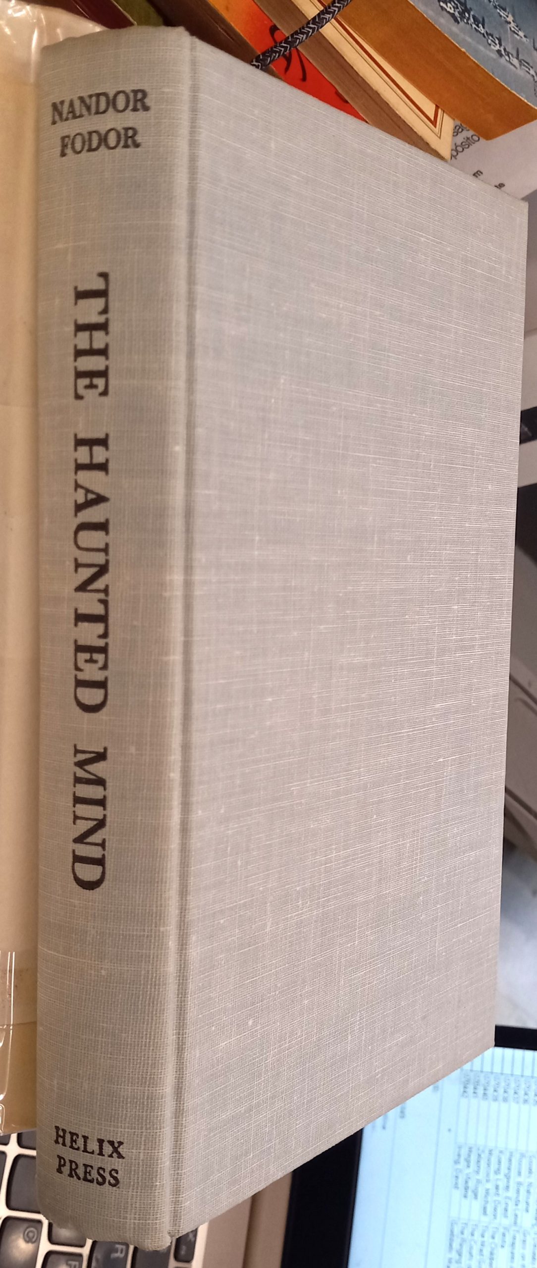 The Haunted Mind binding spine and front board