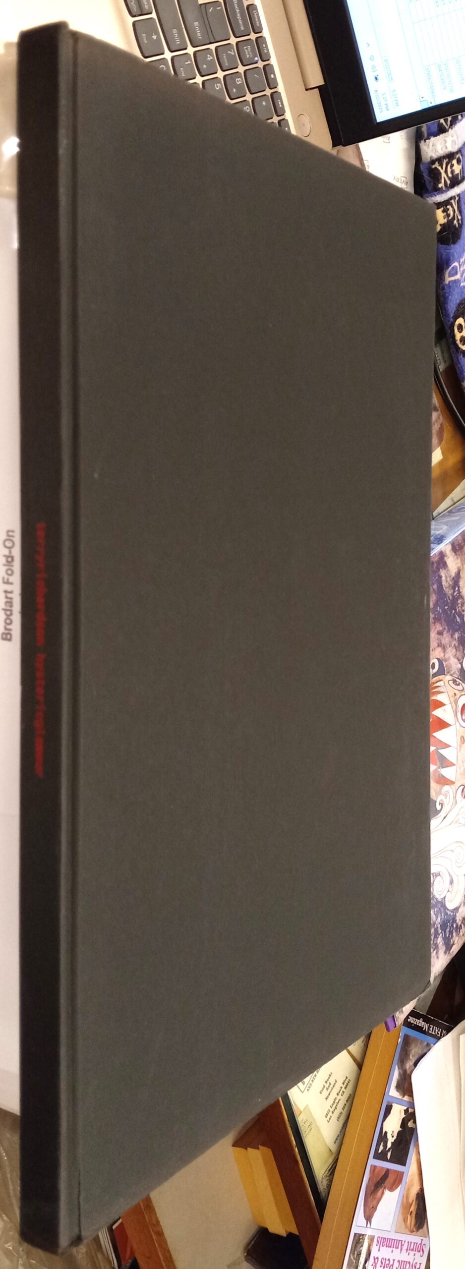 Hysteric Glamour binding front board and spine