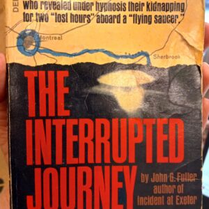 The Interrupted Journey front cover