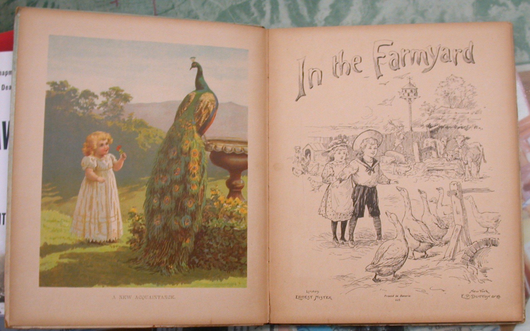 In the Farmyard title page and color frontispiece