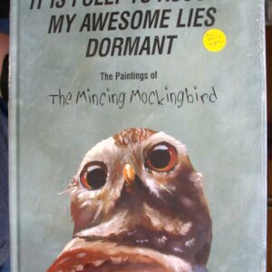 It is Folly to Assume My Awesome Lies Dormant front cover