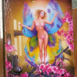 Top of box for Lachapelle Lost + Found Vol. 1