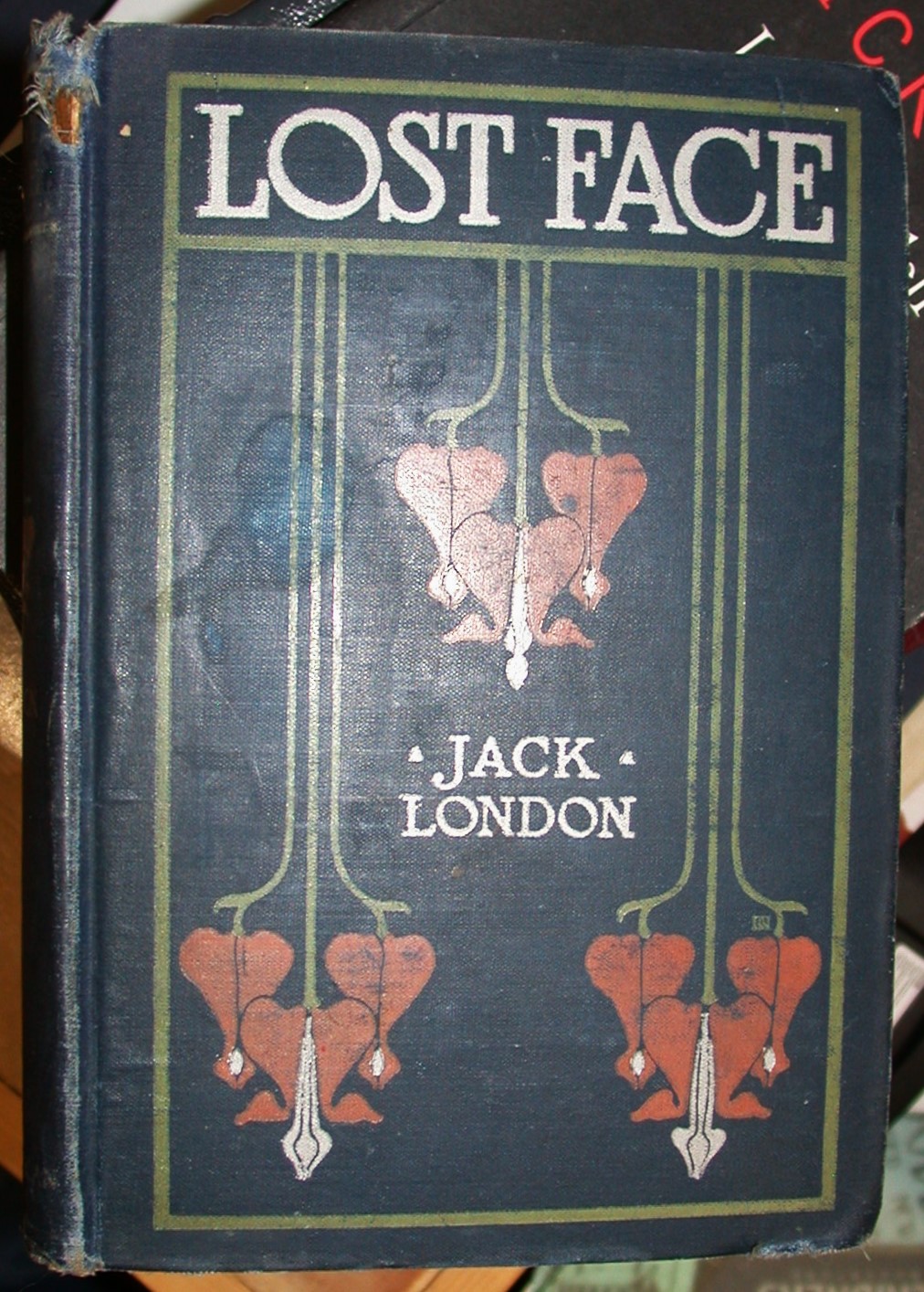 Lost Face front cover