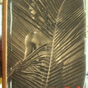 Jacket front for Lionel Wendt's Ceylon