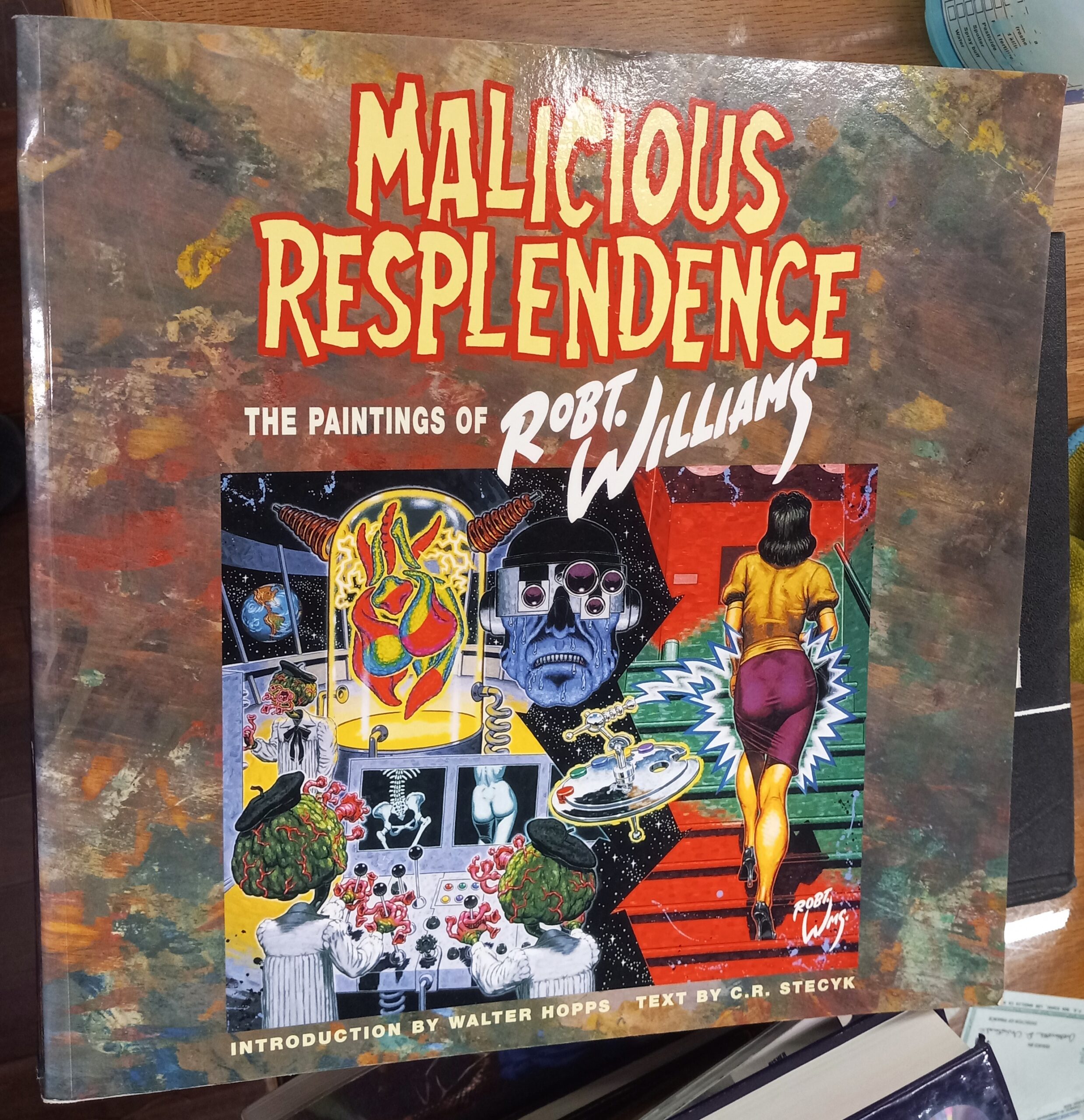 Malicious Resplendence front cover
