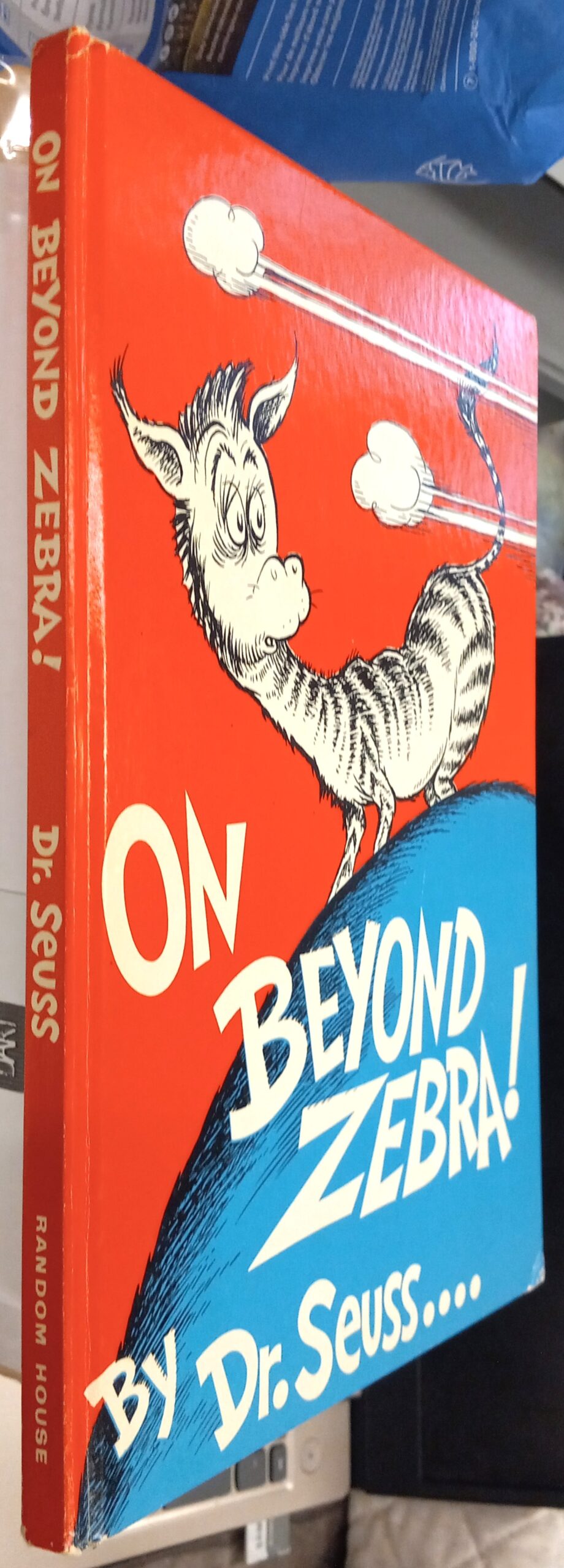 On Beyond Zebra binding spine and front board