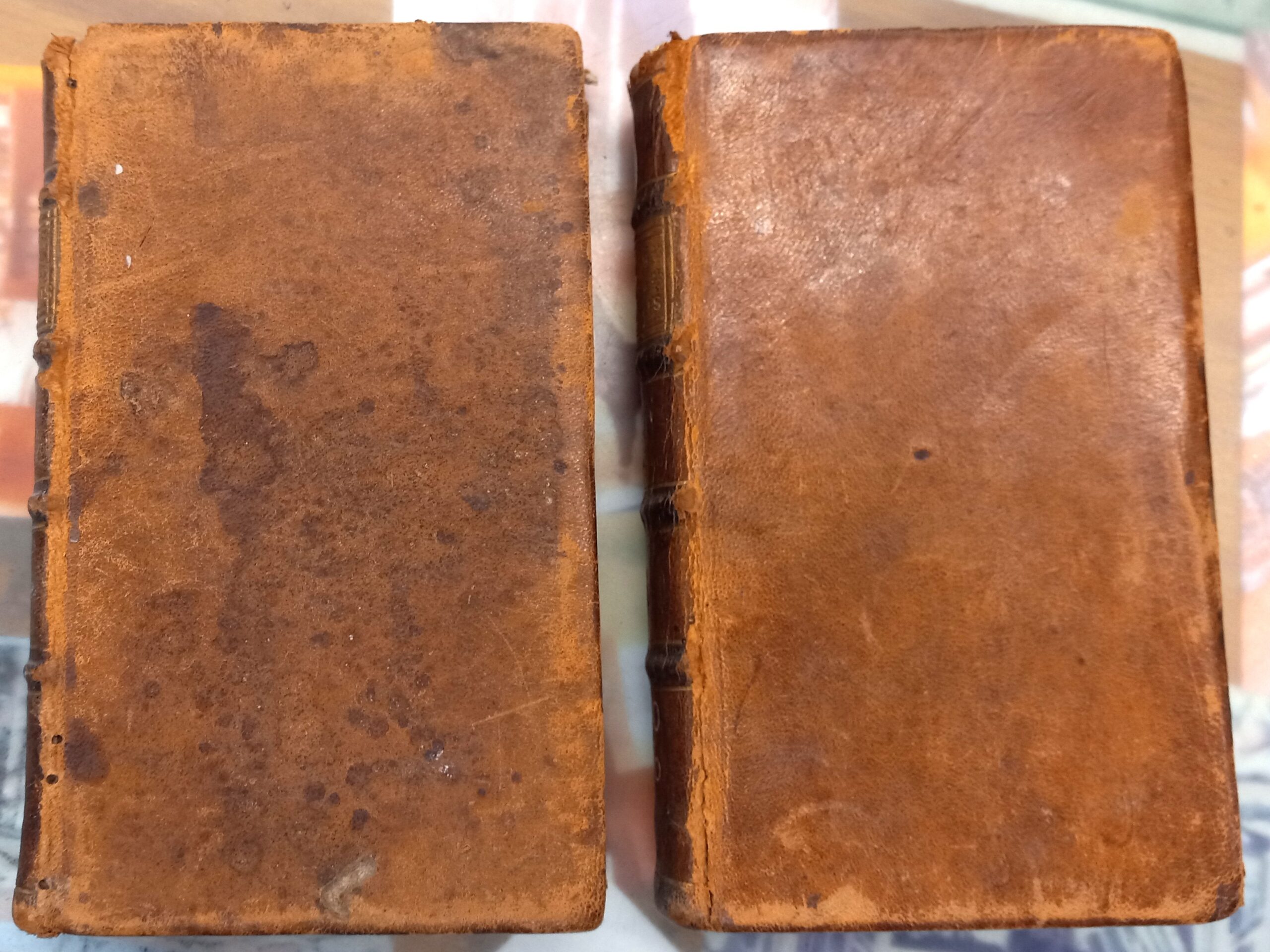 Physica Generalis Physica Particularis front boards of both volumes