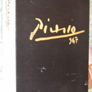 Picasso 347 side and spine of case