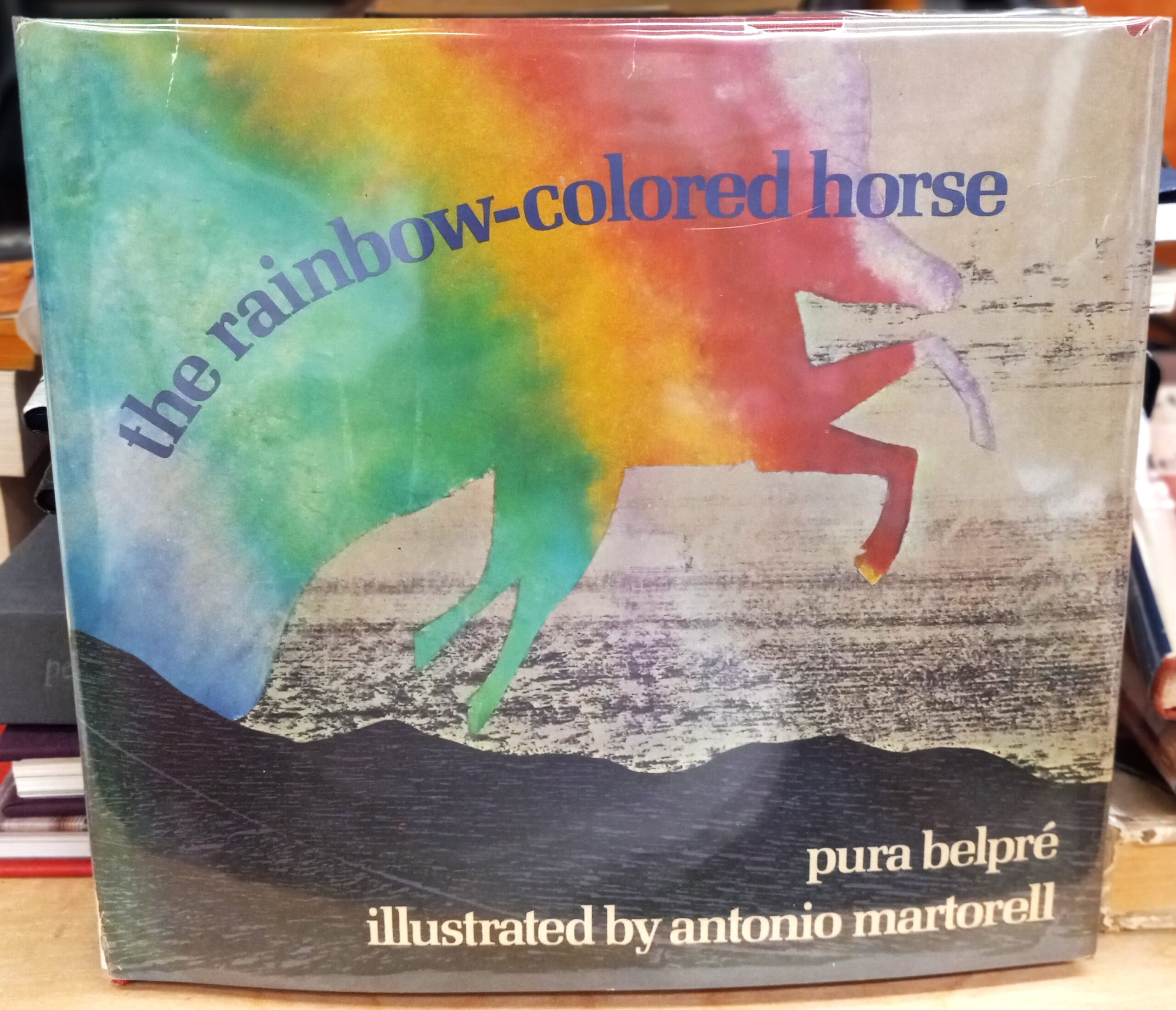 The Rainbow-Colored Horse jacket front