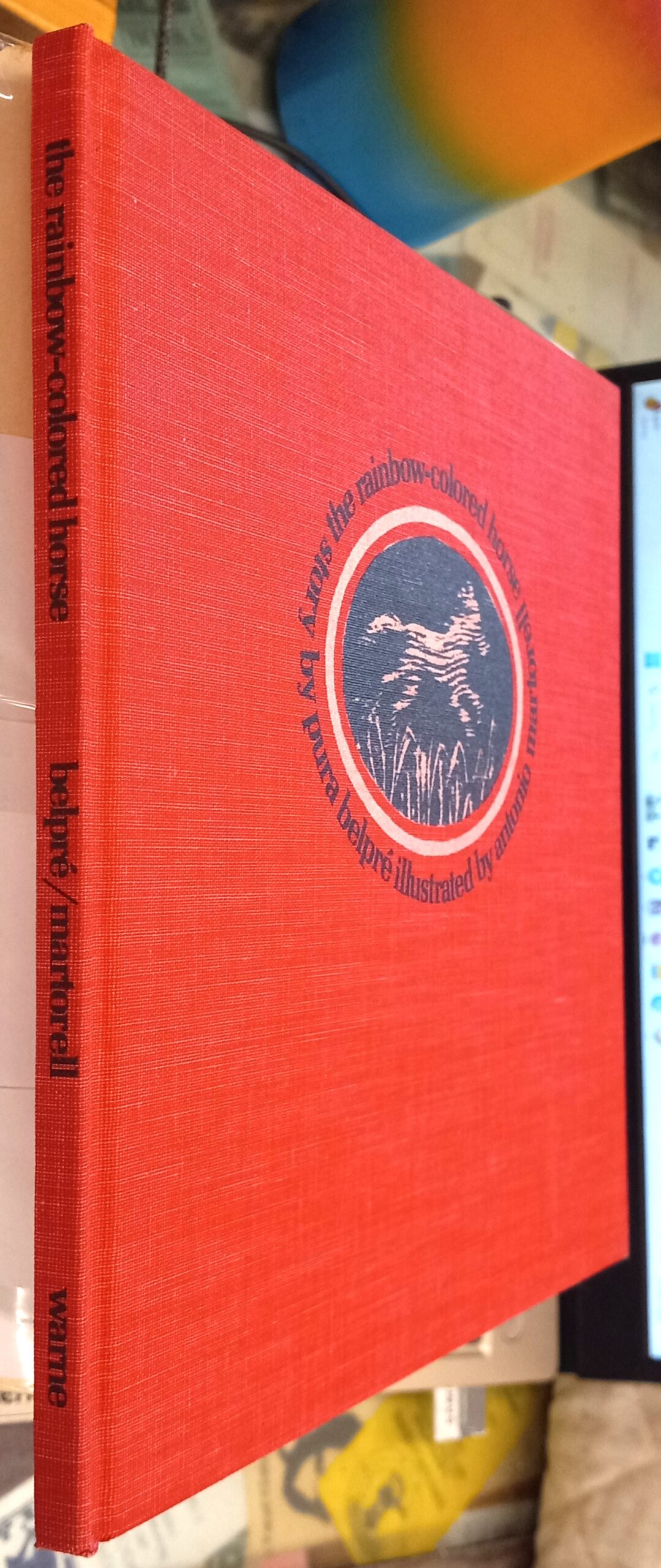 The Rainbow-Colored Horse binding spine and front board
