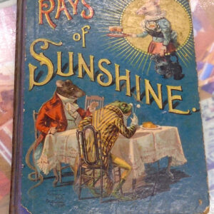 Rays of Sunshine front cover