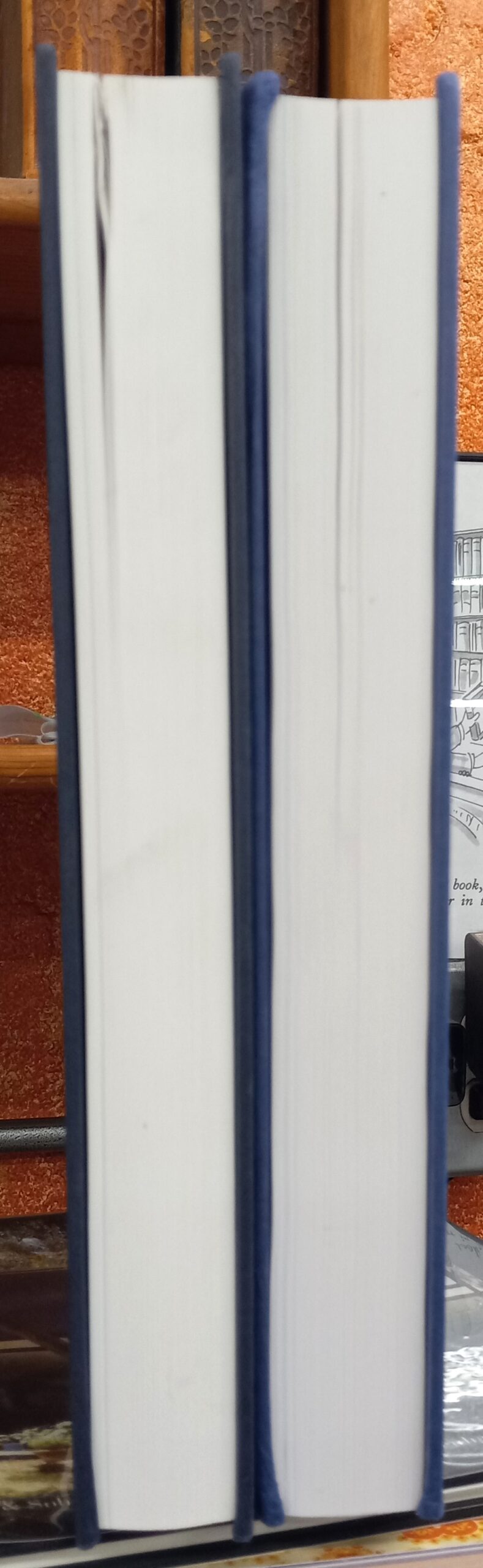 Edward Ruscha Catalogue Raisonne fore-edges of both volumes