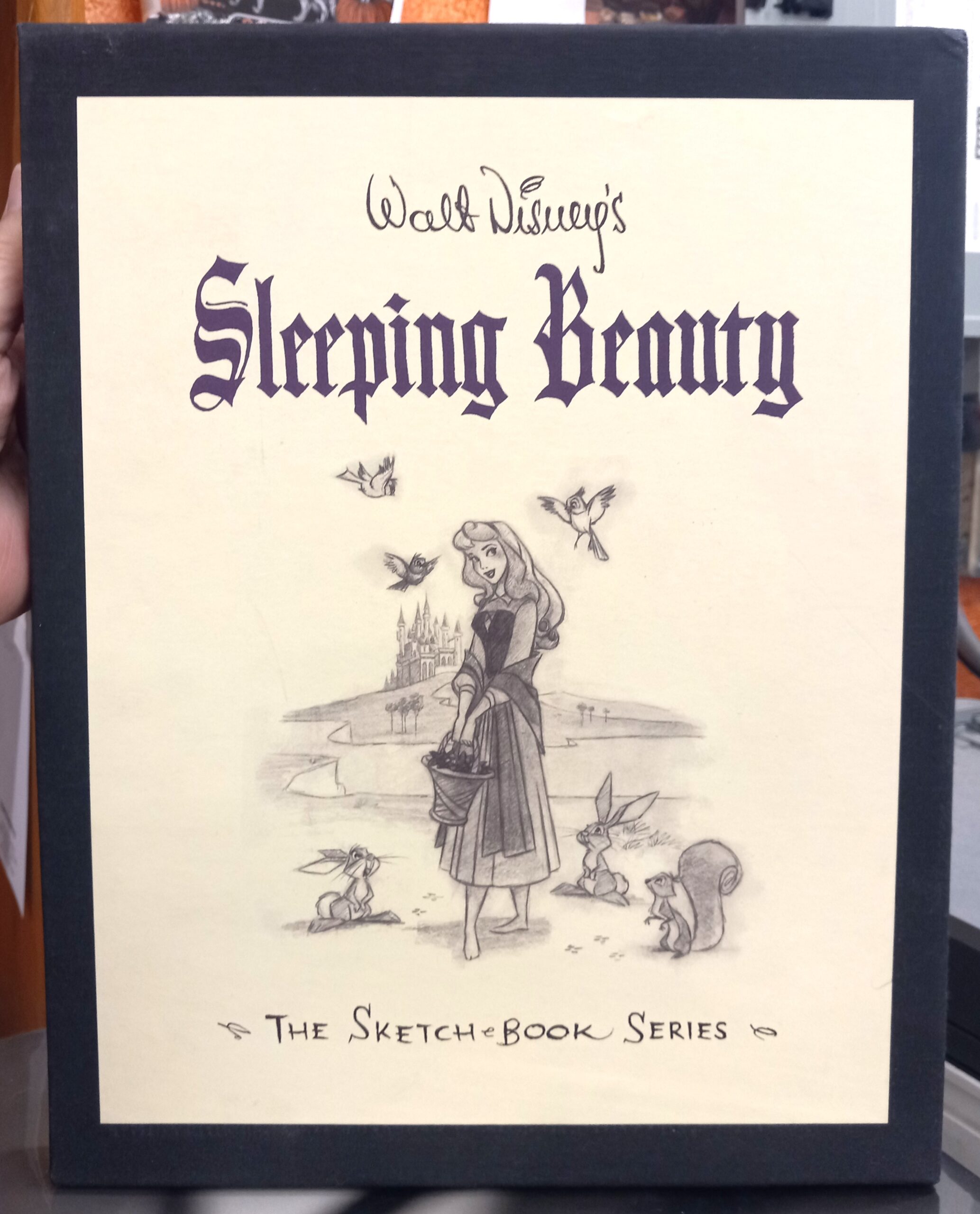 Sleeping Beauty Sketchbook slipcase