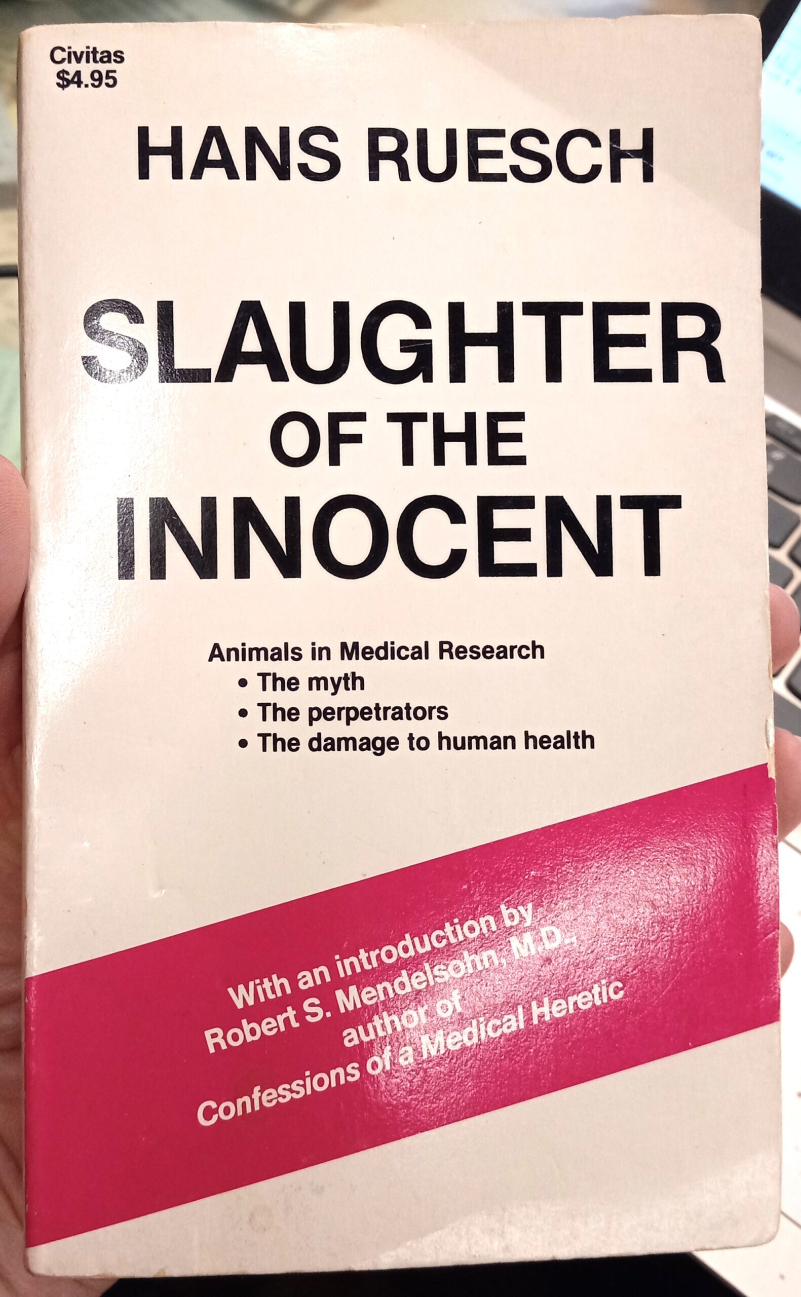 Slaughter of the Innocent front cover