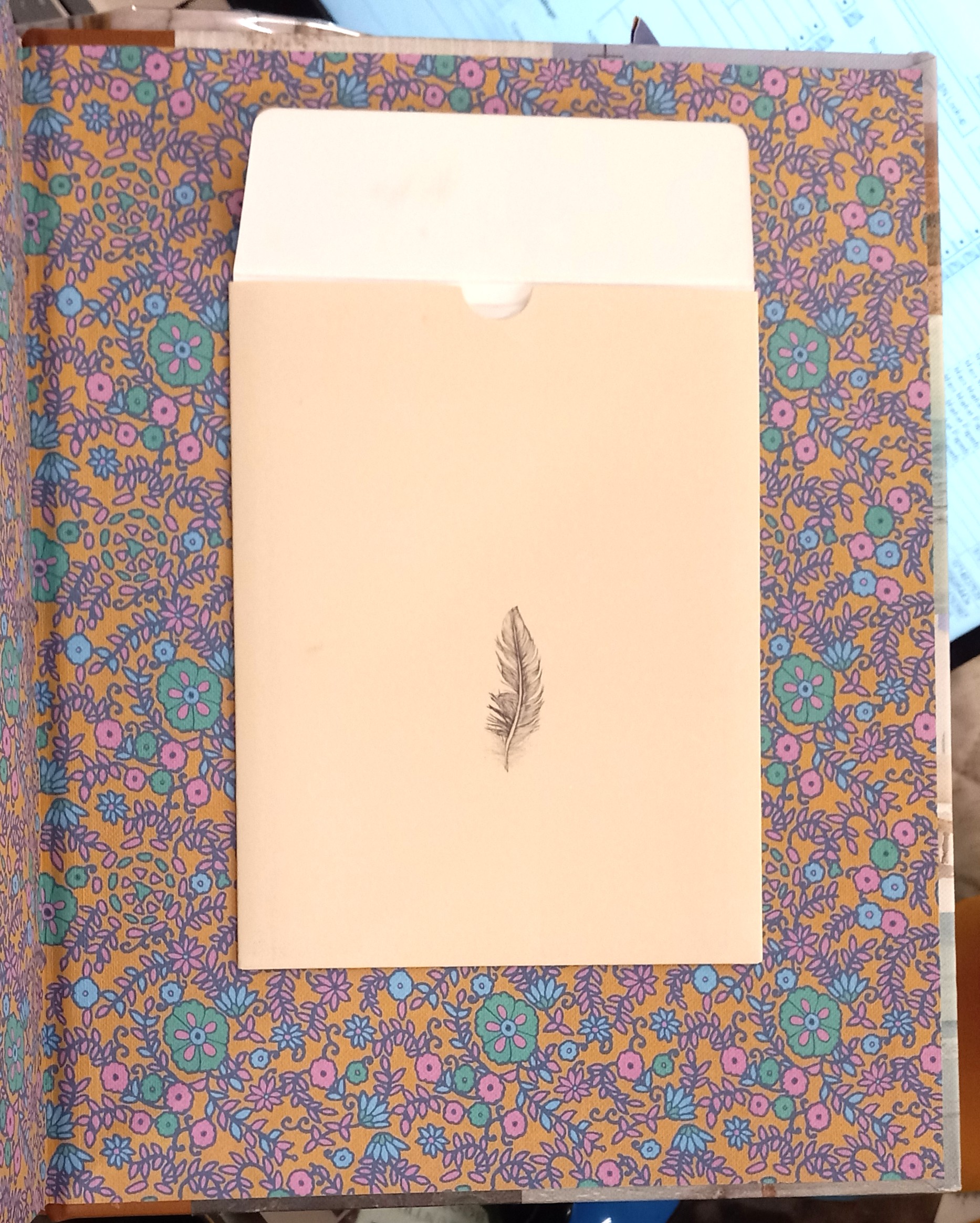 Spell and the Gypsy Collective envelope holding poster on rear pastedown