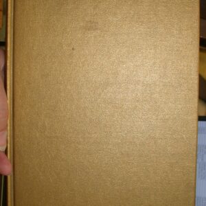 The Night I Lost My Baby binding front