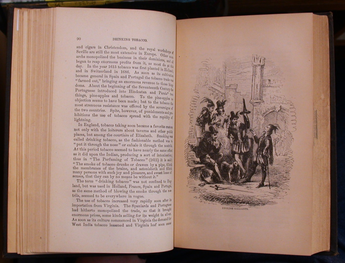 Tobacco pages with illustration