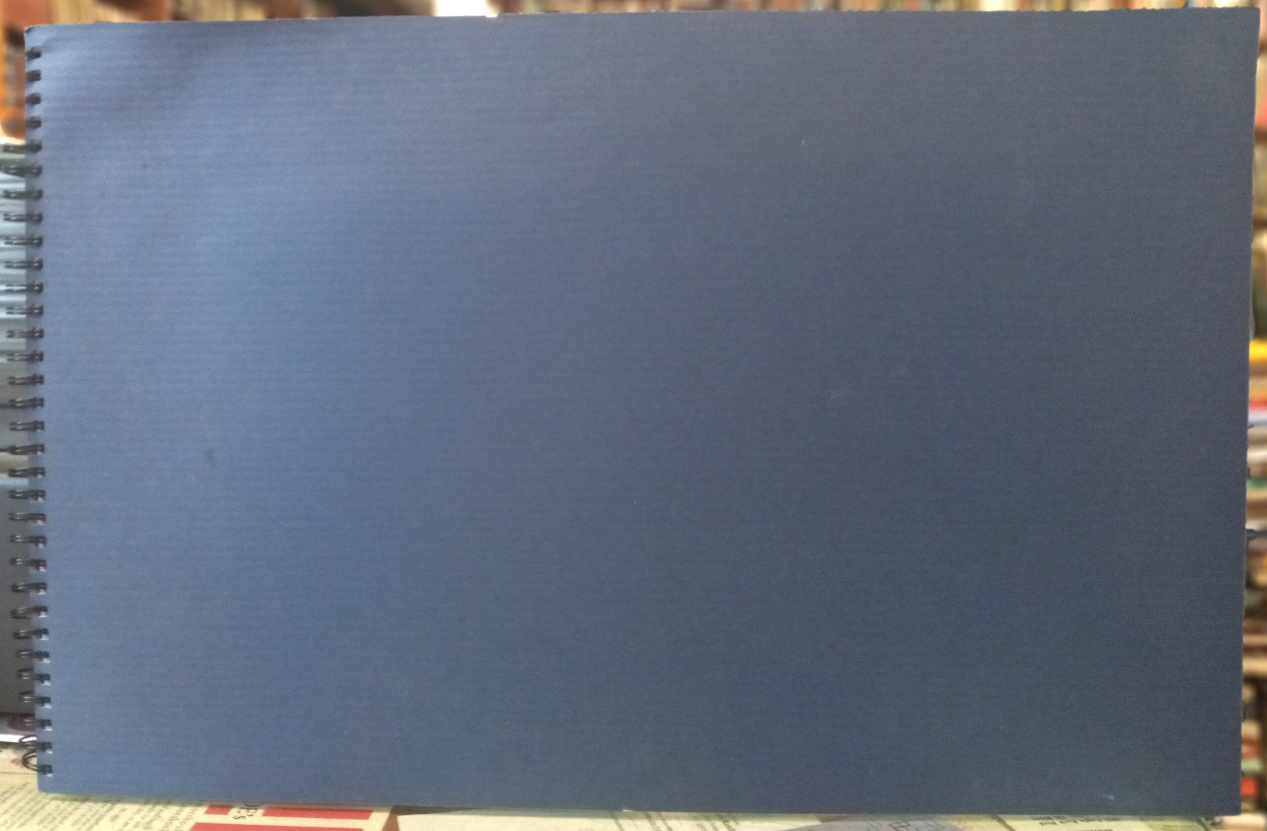 Toward an Architecture Without Permanent Form front cover