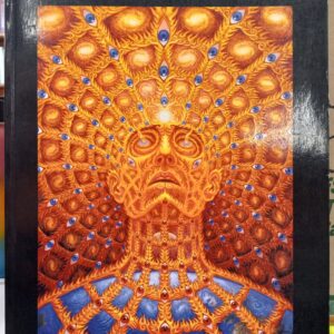 Transfigurations front cover