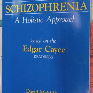 The Treatment of Schizophrenia A Holistic Approach front cover