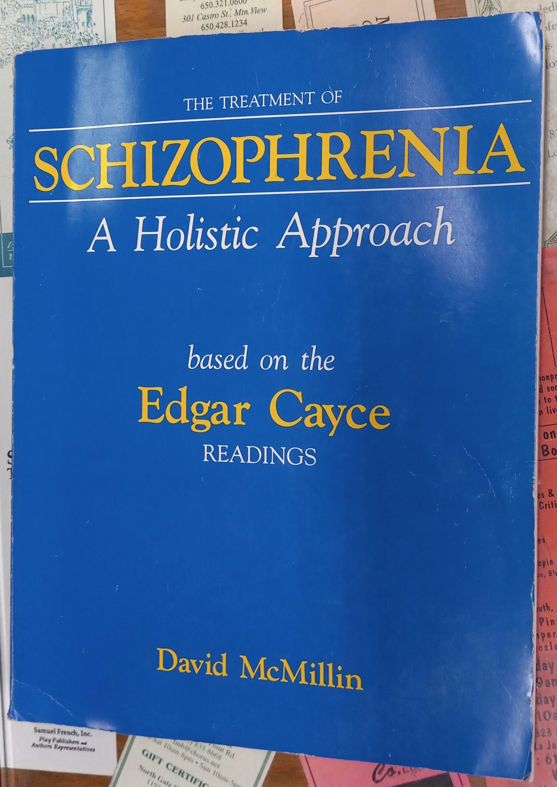 The Treatment of Schizophrenia A Holistic Approach front cover